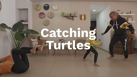 Catching Turtles